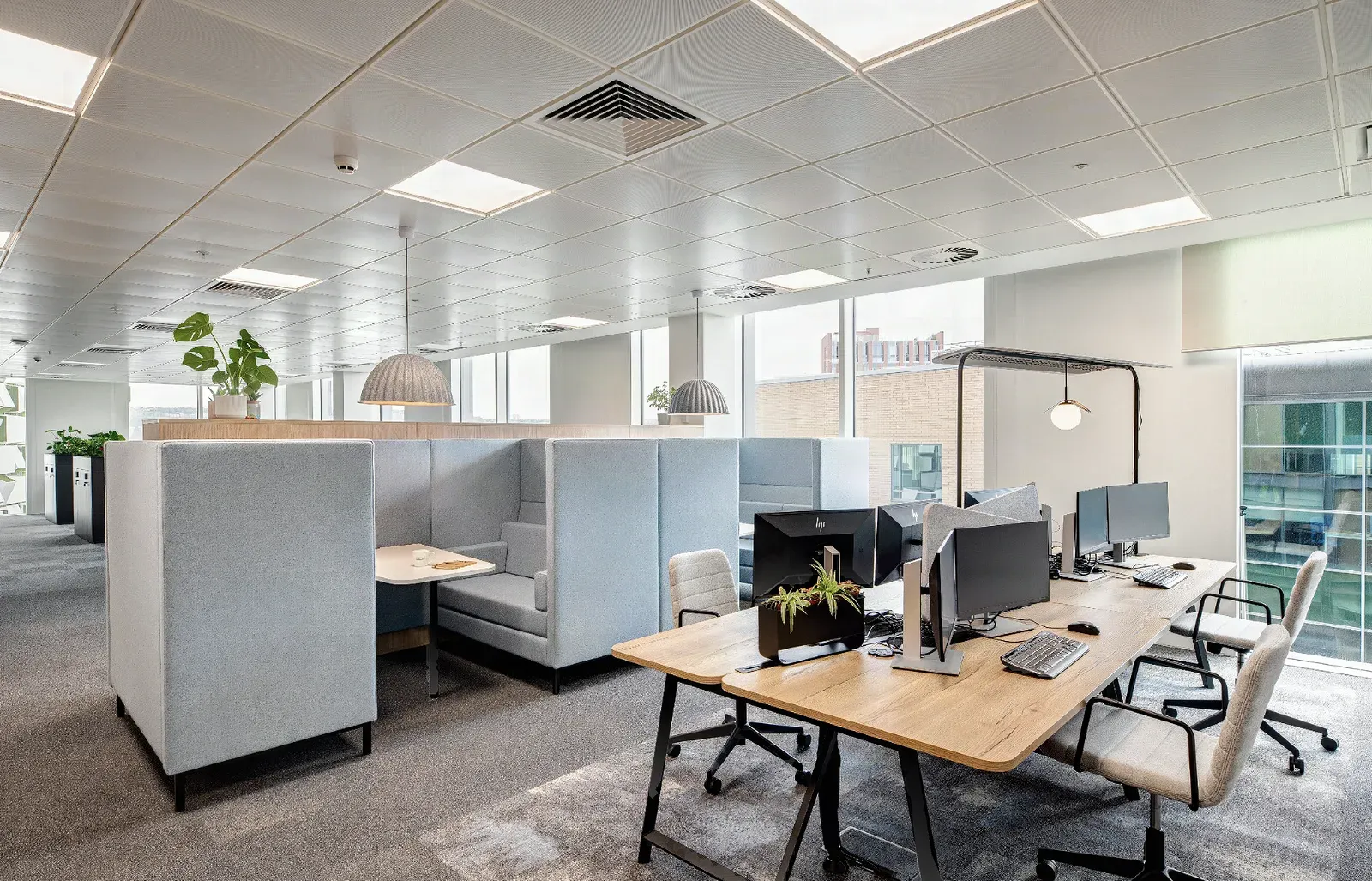 Open-plan office workspace with a finished suspended ceiling, acoustic work pods, and window-wall daylight