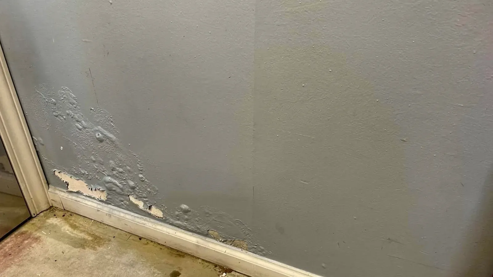 Blistered and flaking paint low on an interior drywall wall above the baseboard, exposing damp gypsum beneath